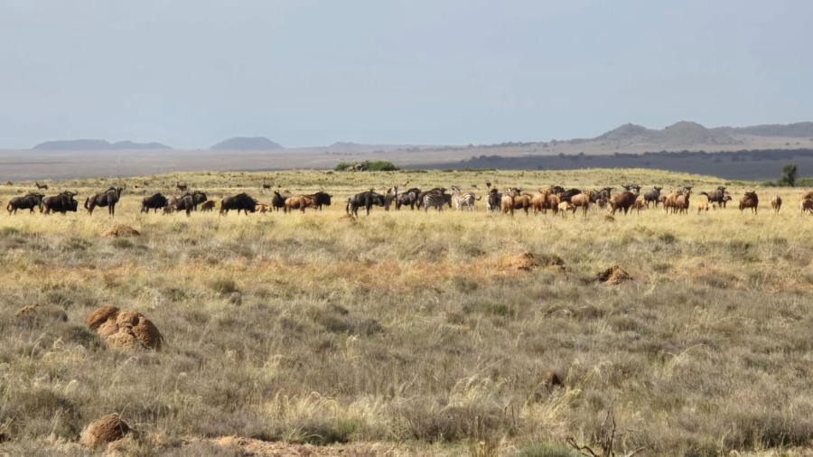 5 Bedroom Property for Sale in Edenburg Rural Free State